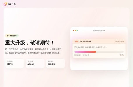 码上飞